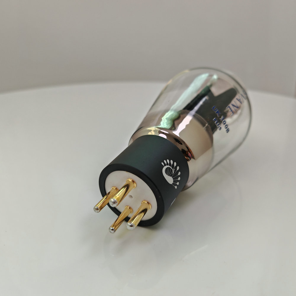 PSVANE UK300B-PLUS Tubo A Vuot - Diy Electronics Uk recensione e prezzo